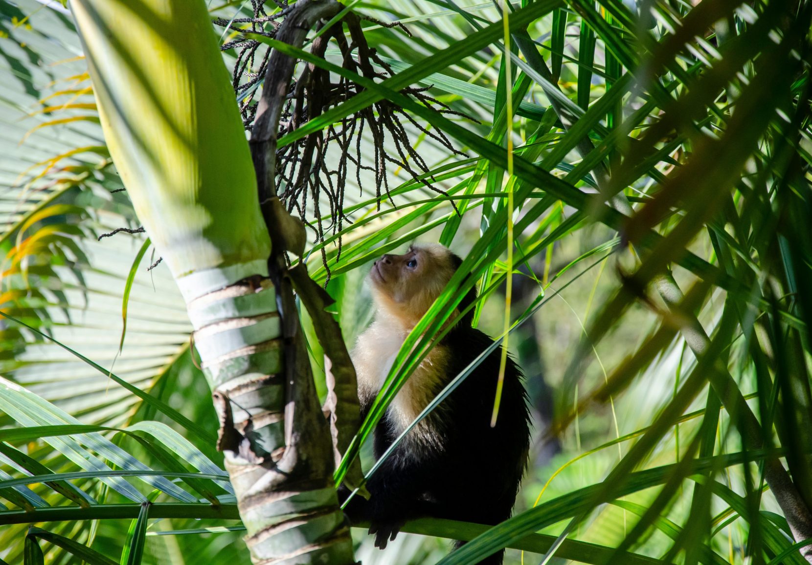 Engagement_CO2_dennis-michel (1)