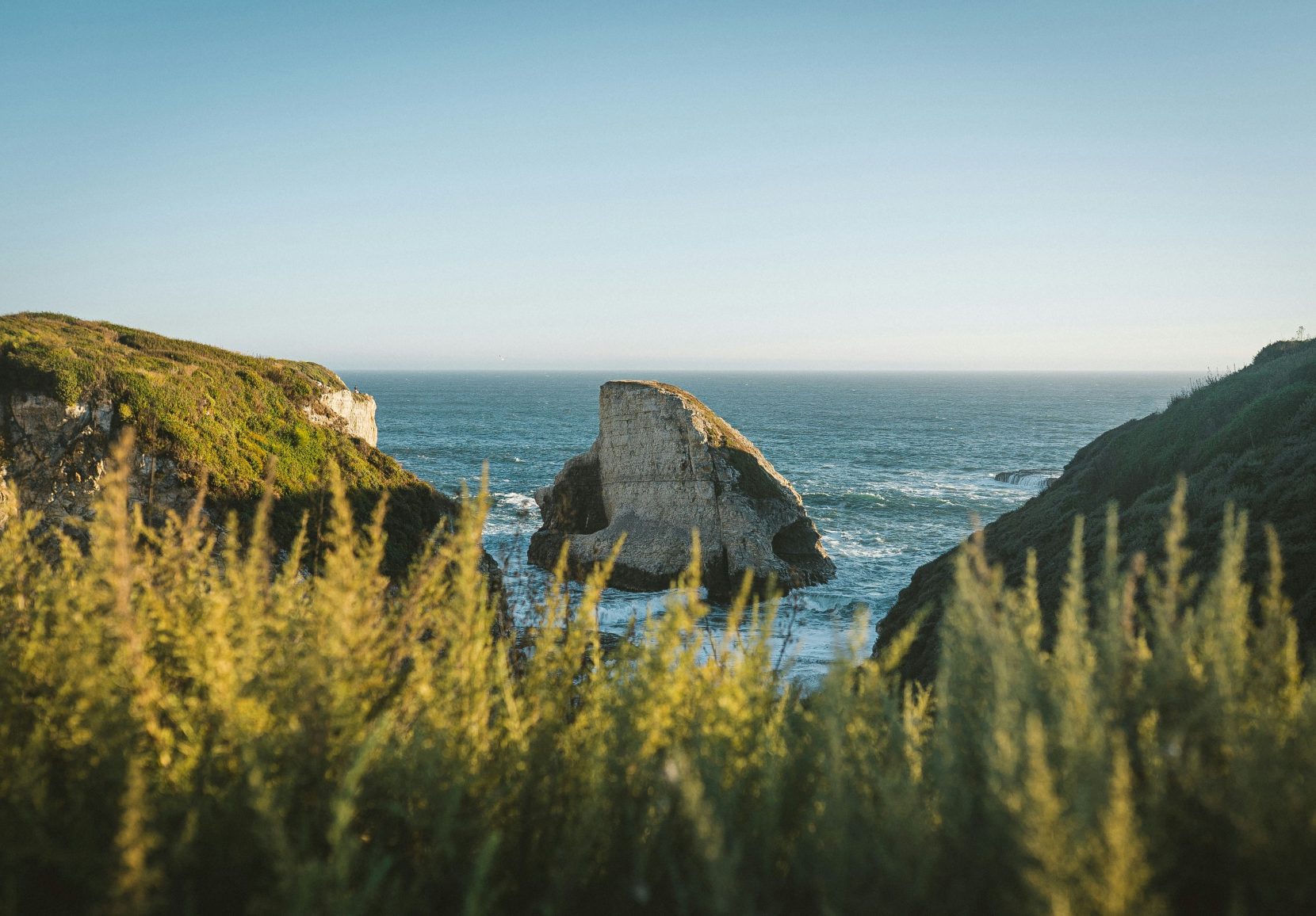 Engagement_alternative_karsten-winegeart (1)