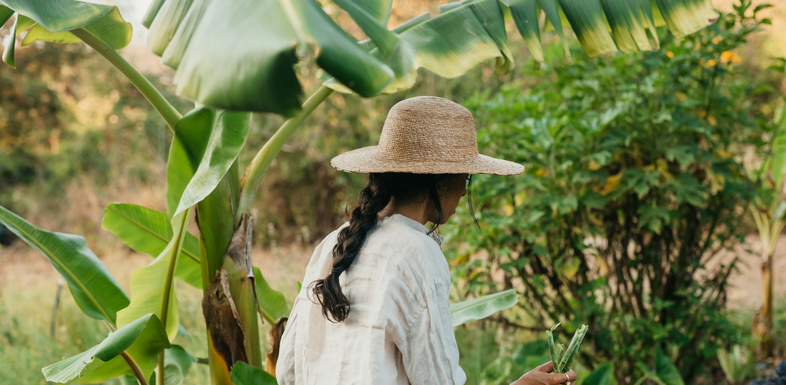 Engagement_circuit-court_jordan-gonzalez (1)