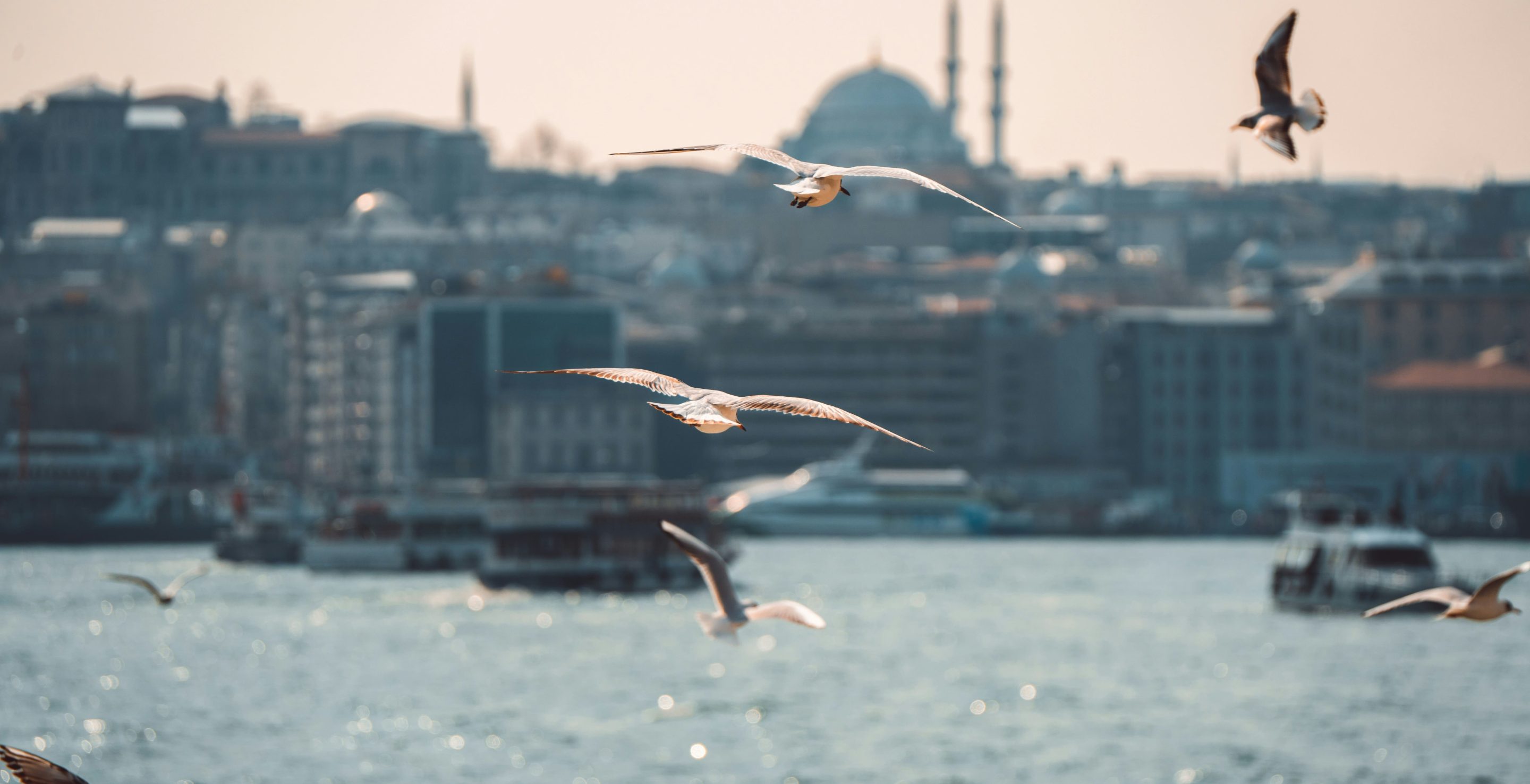 garanties_cover_amo-fif (1)