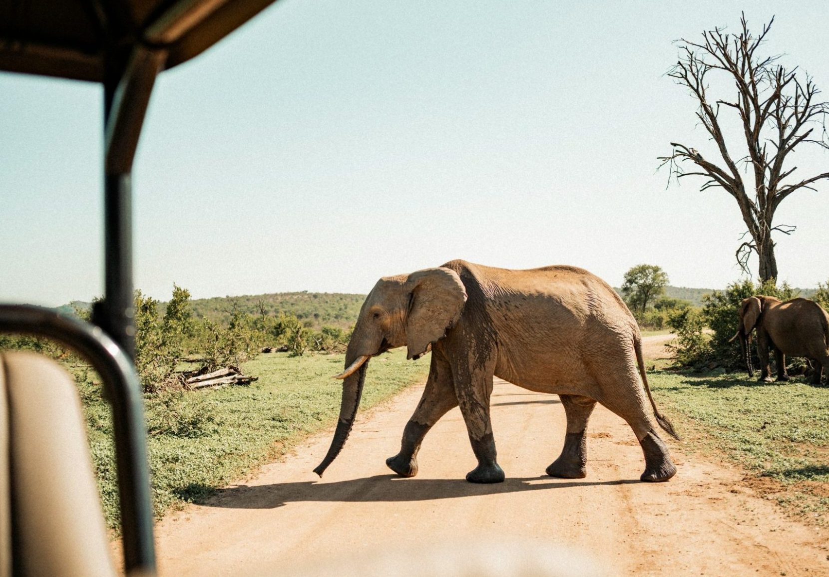garanties_loi-française_mario-scheibl