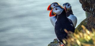 inspirations_nature-et-découverte