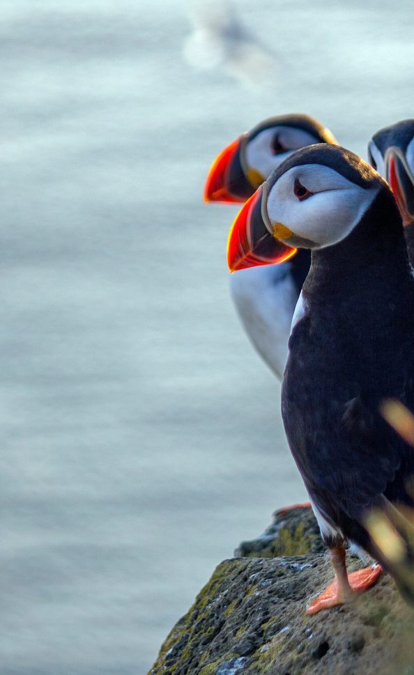 inspirations_nature-et-découverte