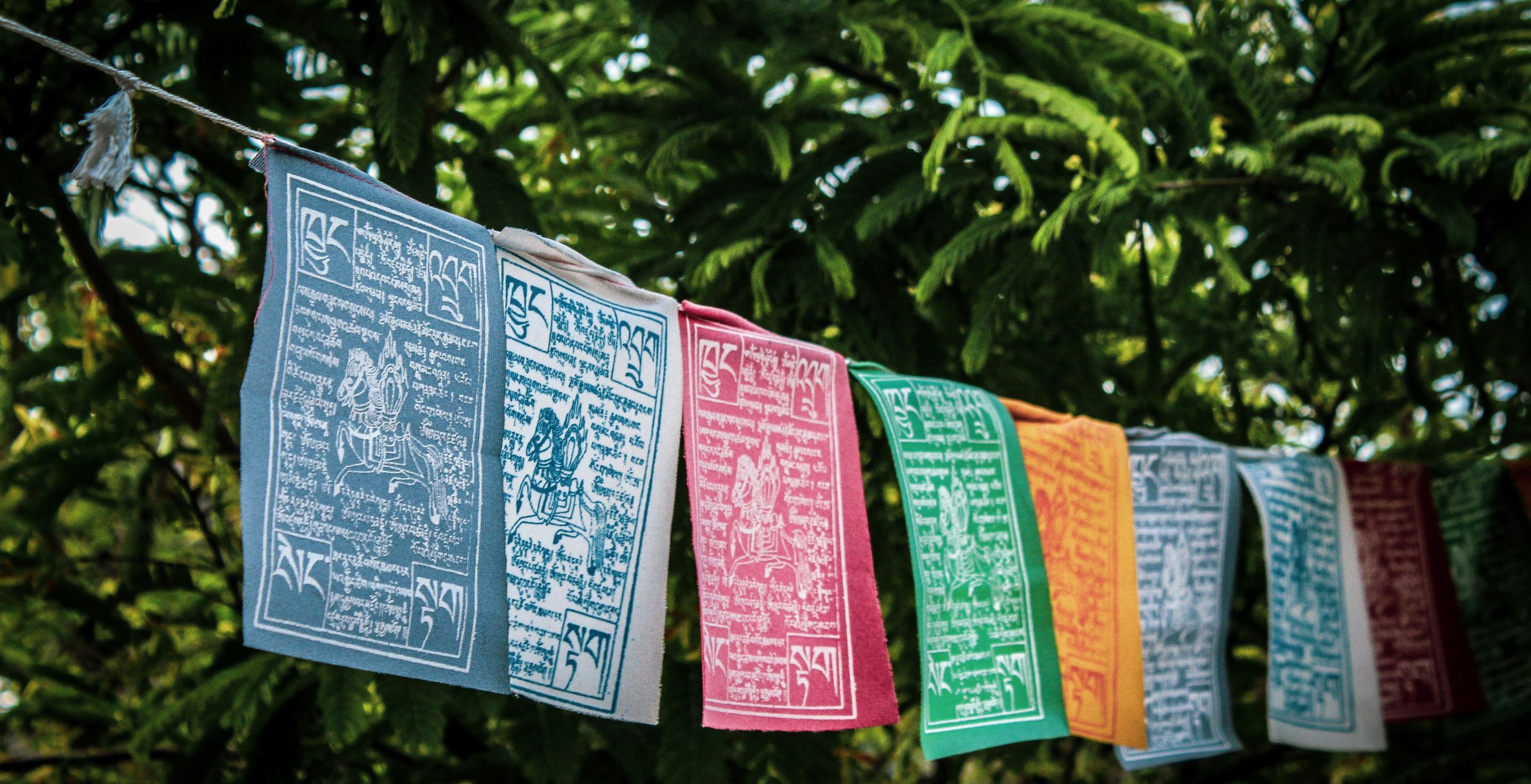 page Assurance_cover_