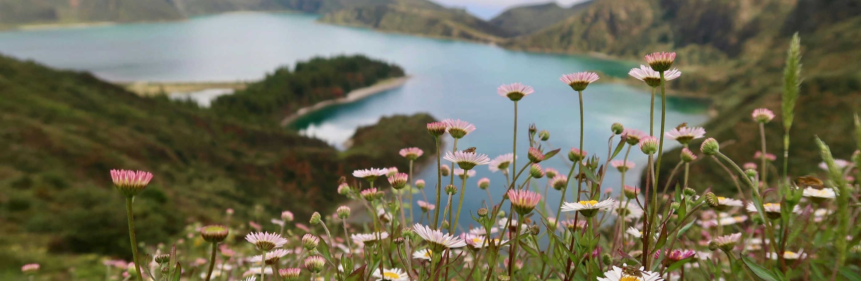 Açores_bandeau_sylvain-cleymans (1)