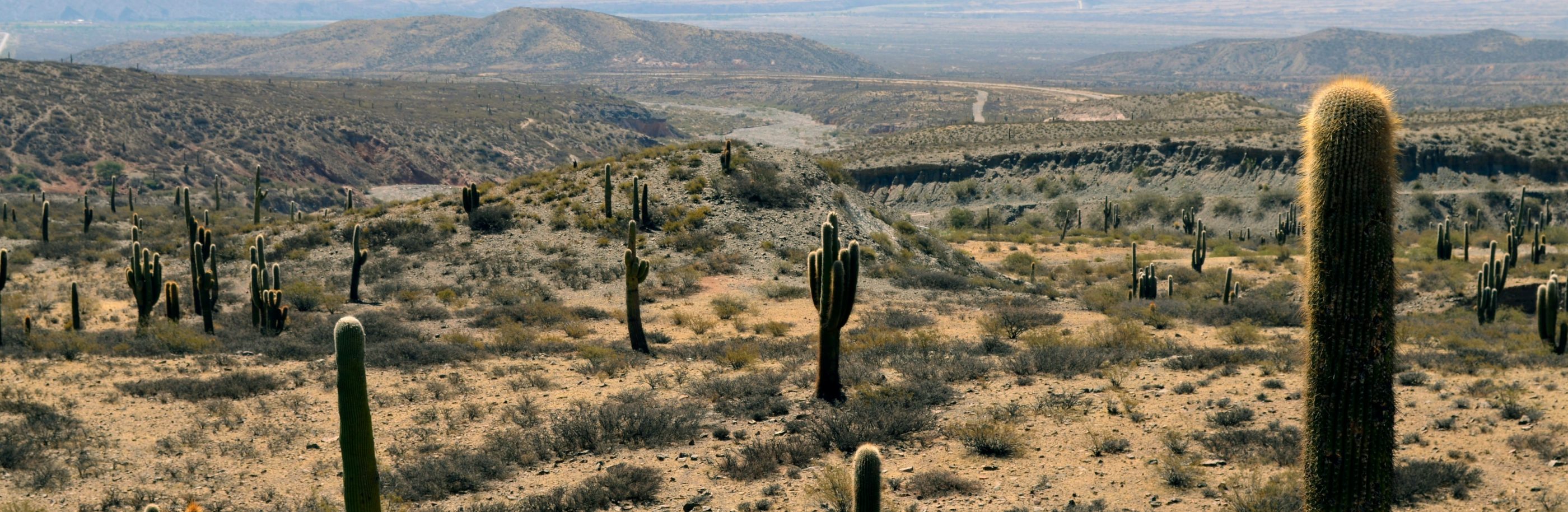 Argentine_bandeau_agustin-lautaro