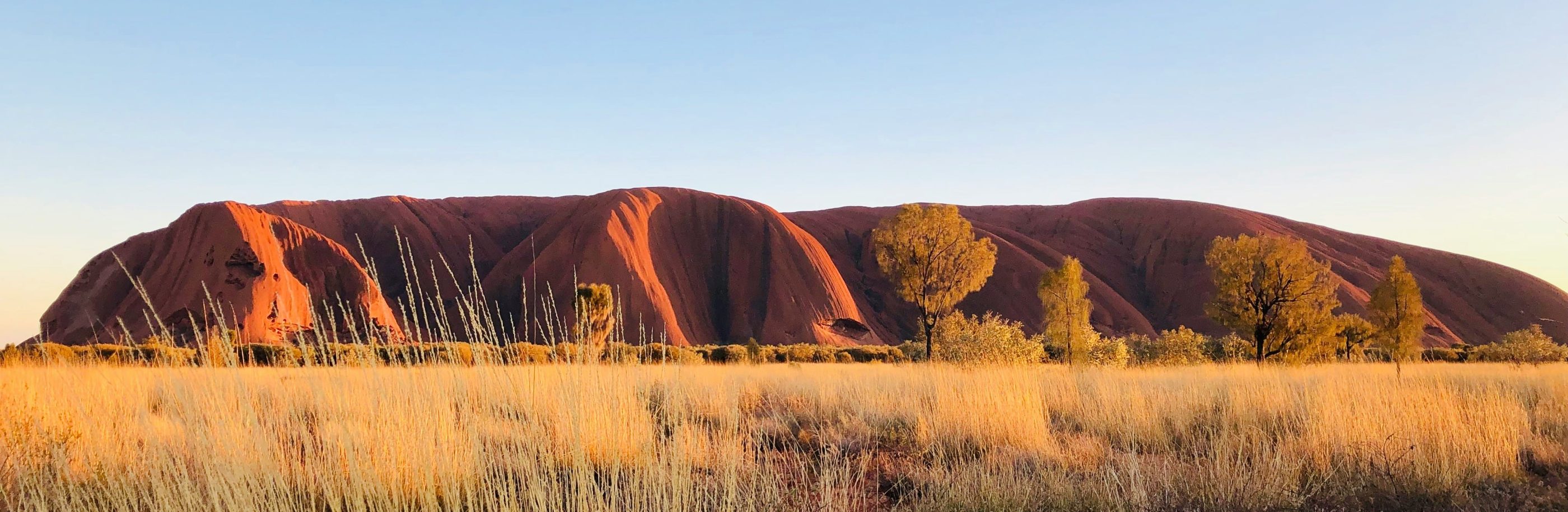 Australie_bandeau_sherry-rich (1)