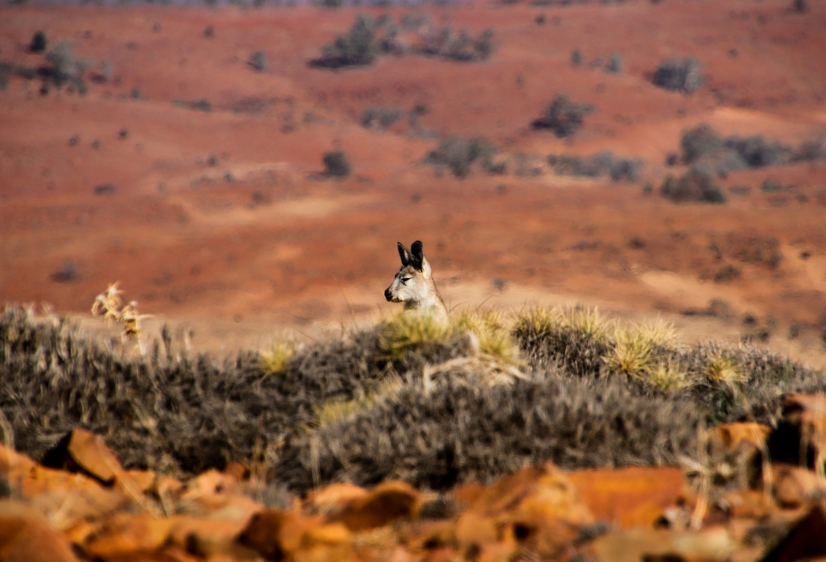 Australie_cover_megan-clark (1)