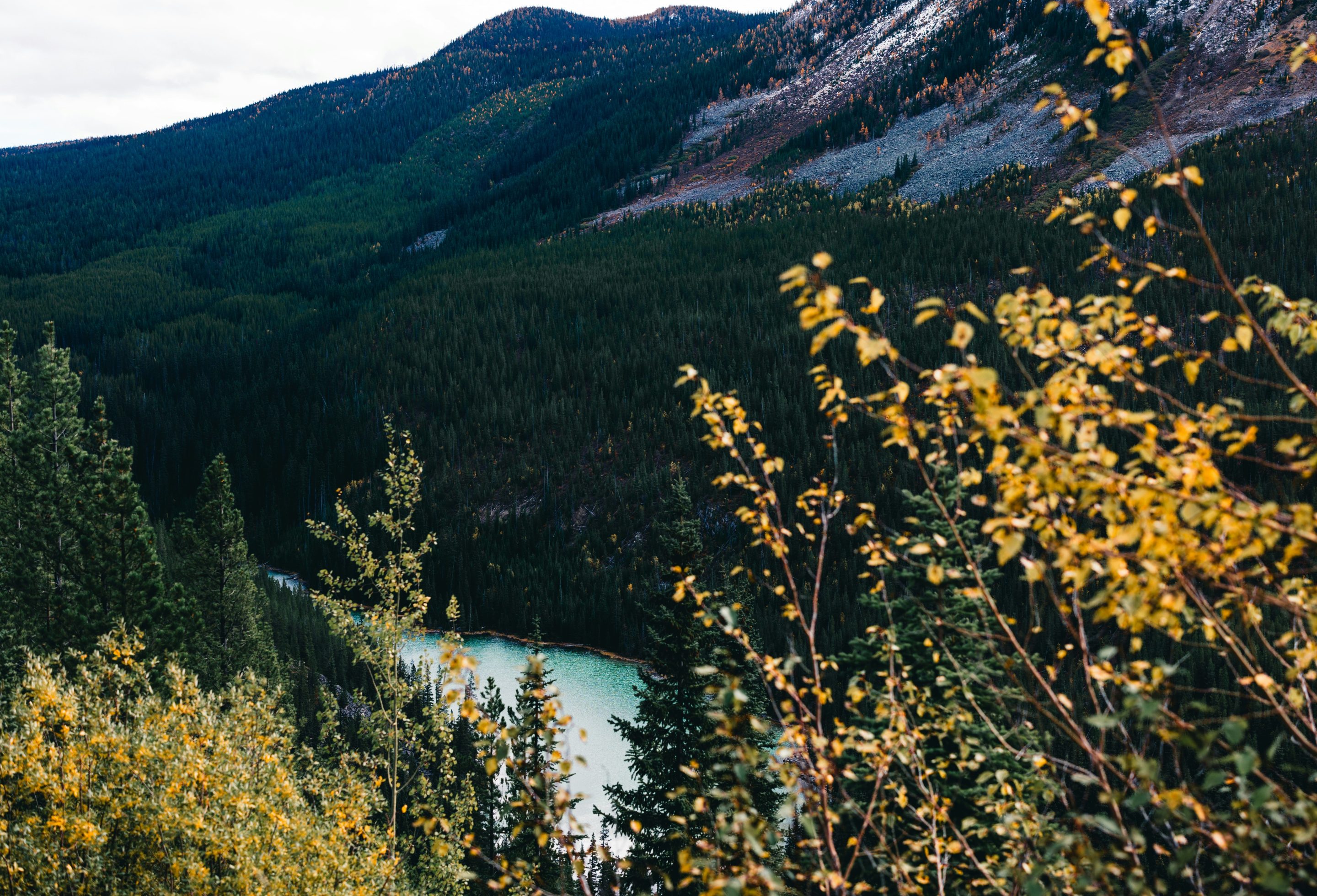 Canada_cover_ali-kazal (1)