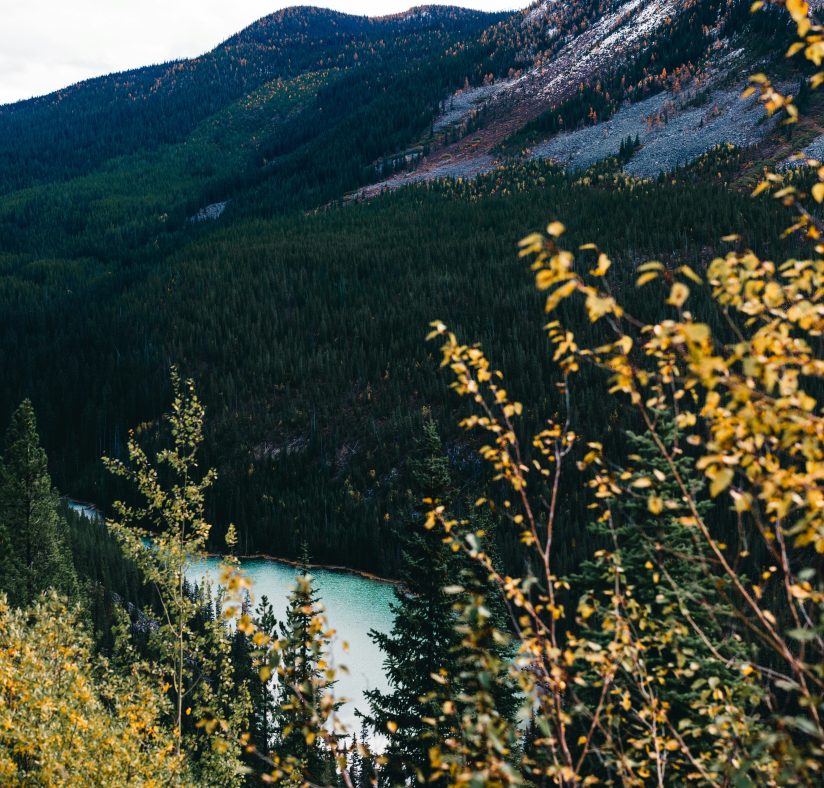 Canada_cover_ali-kazal (1)