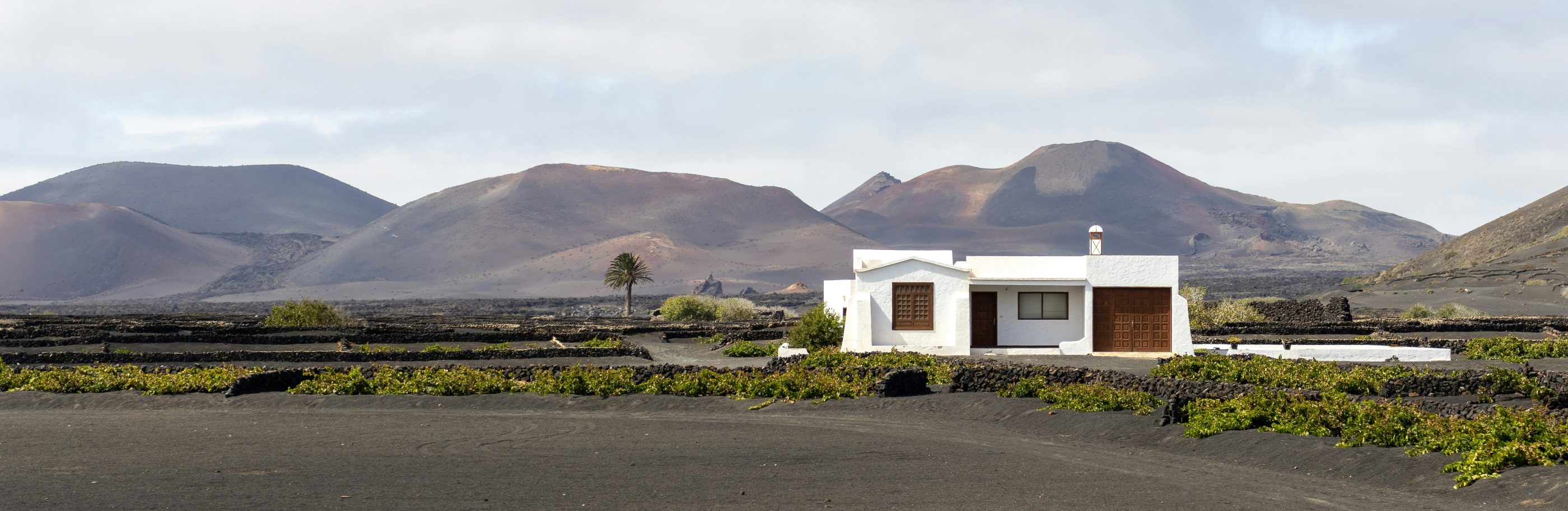 Canaries_bandeau_annamaria-kupo (1)