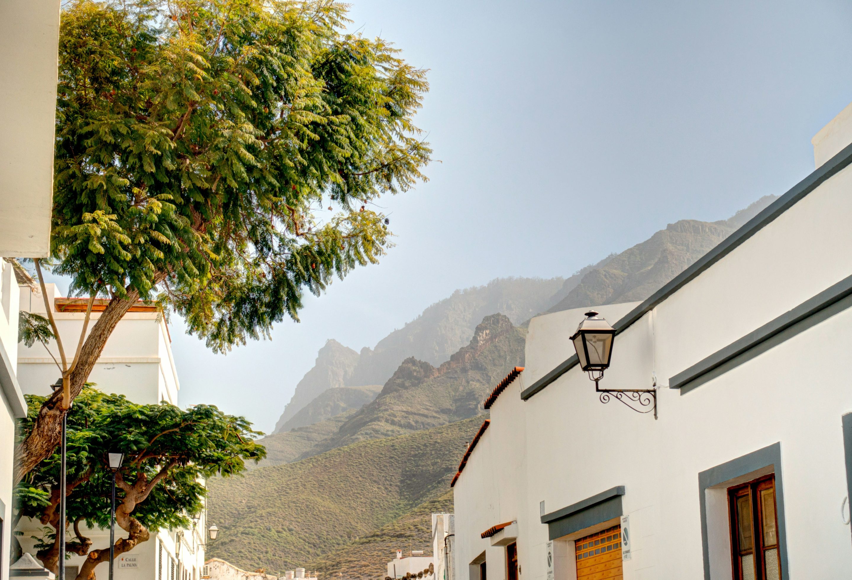 Canaries_cover_getty-images (1)