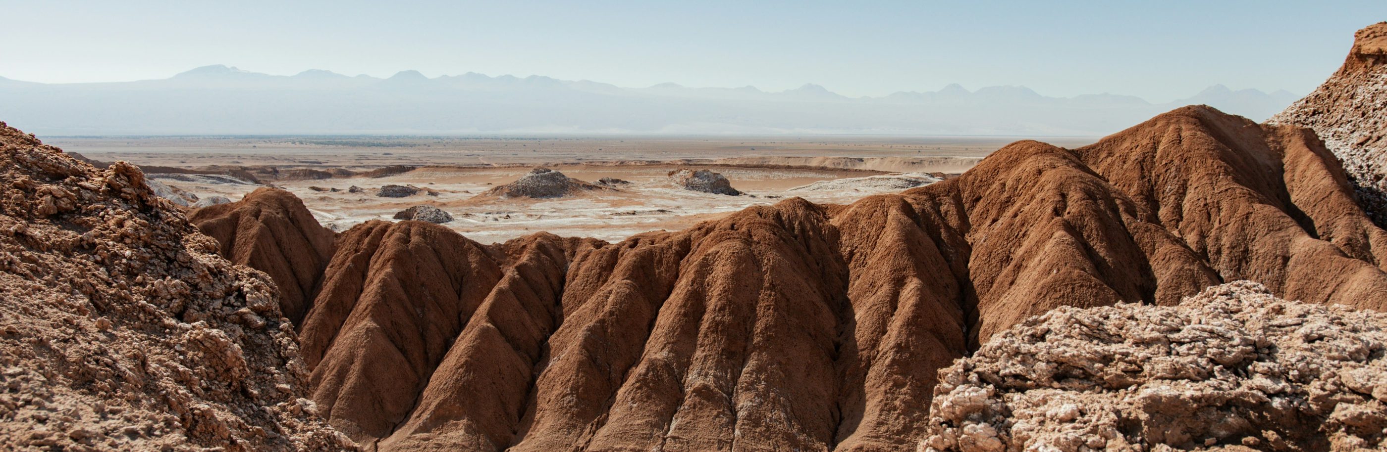 Chili_bandeau_fellipe-ditadi (1)