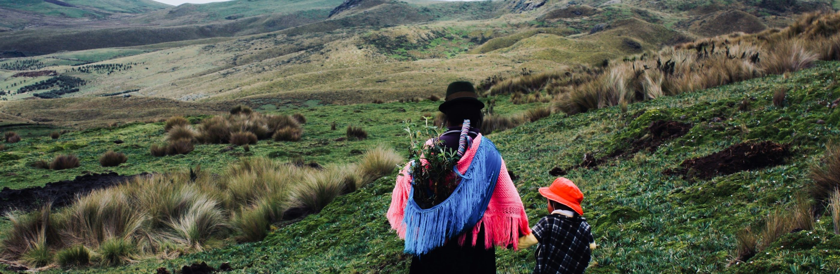 Equateur_bandeau_azzedine-rouichi