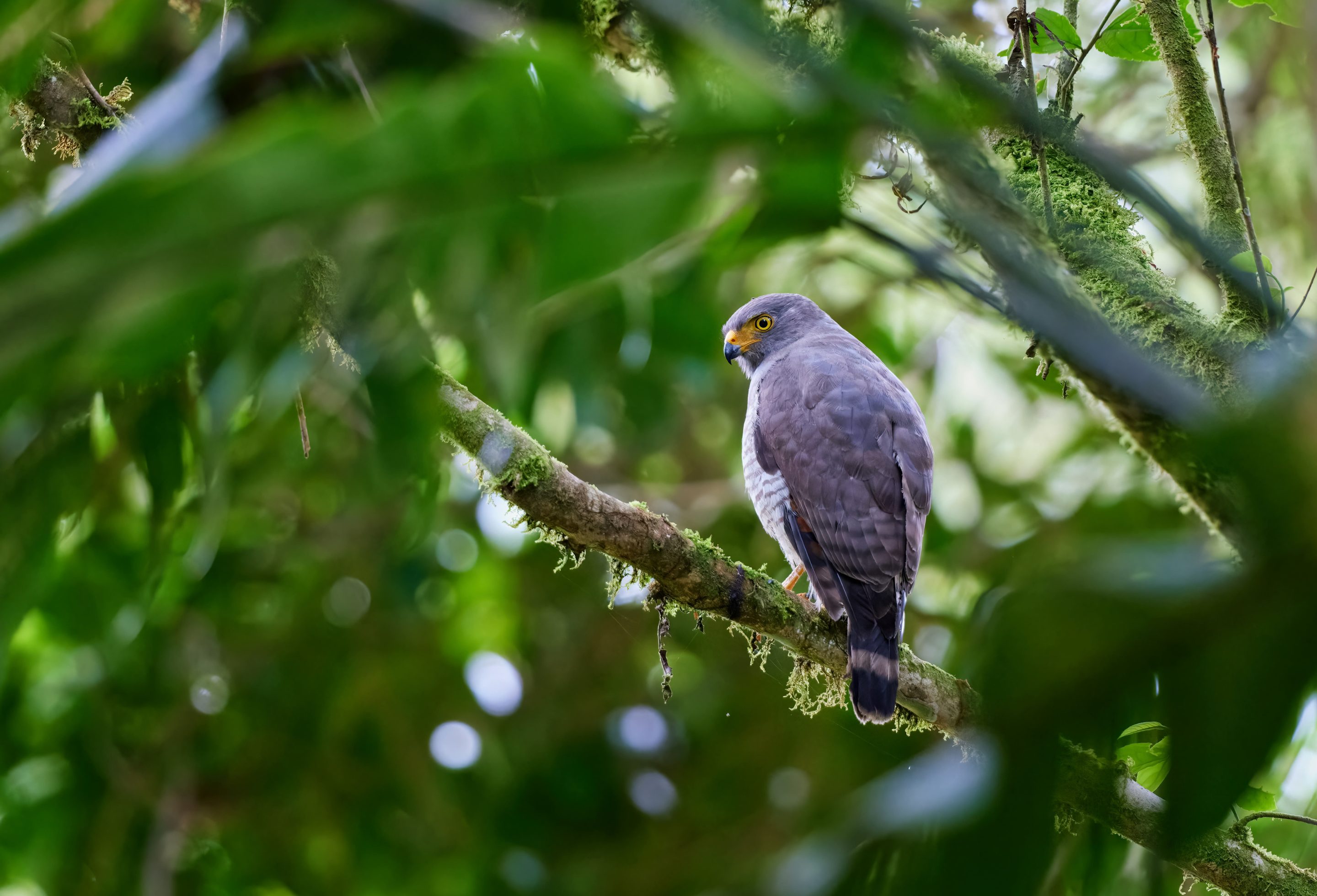 Equateur_cover_zdenek-machacek (1)