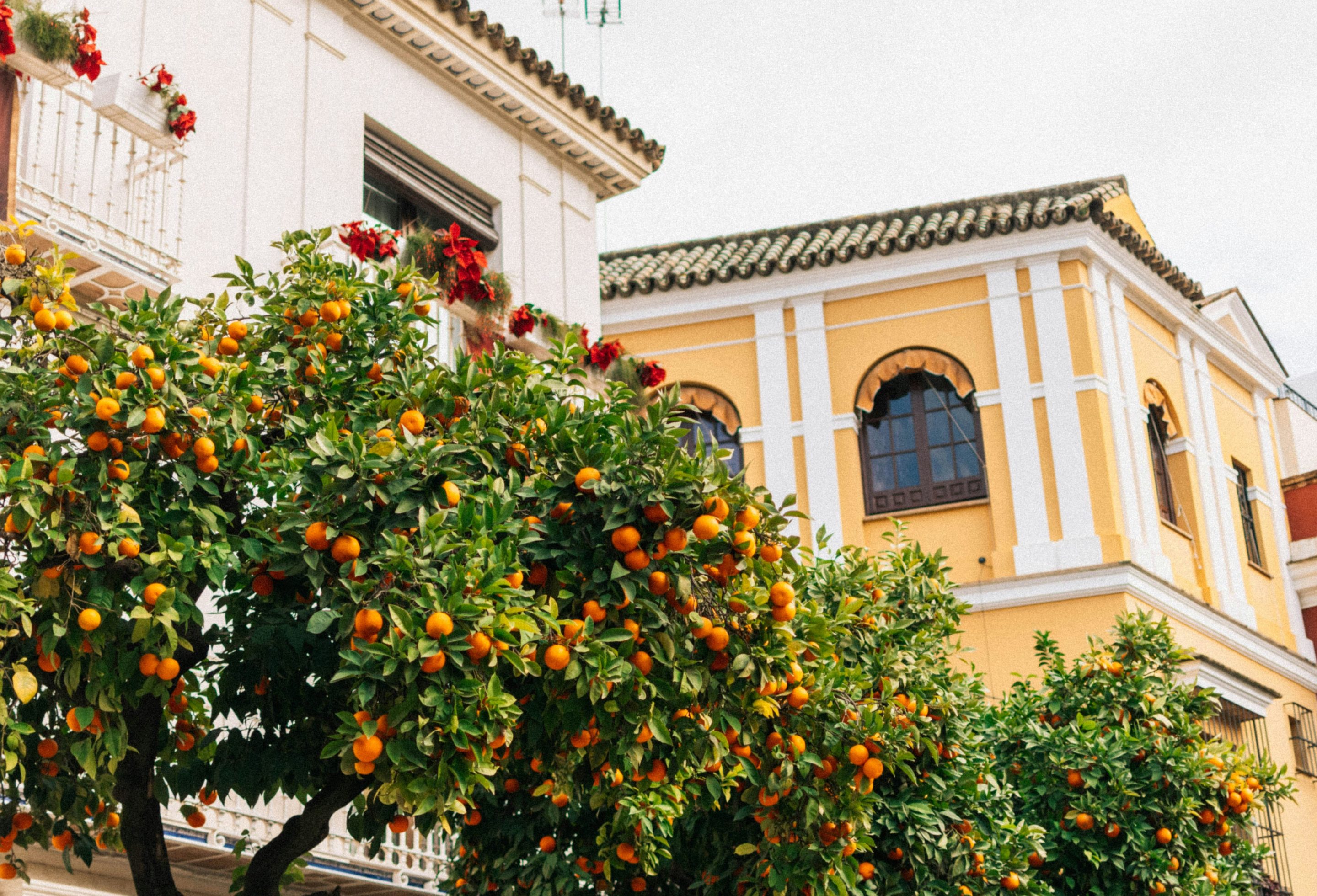 Espagne_cover_pille-r-priske