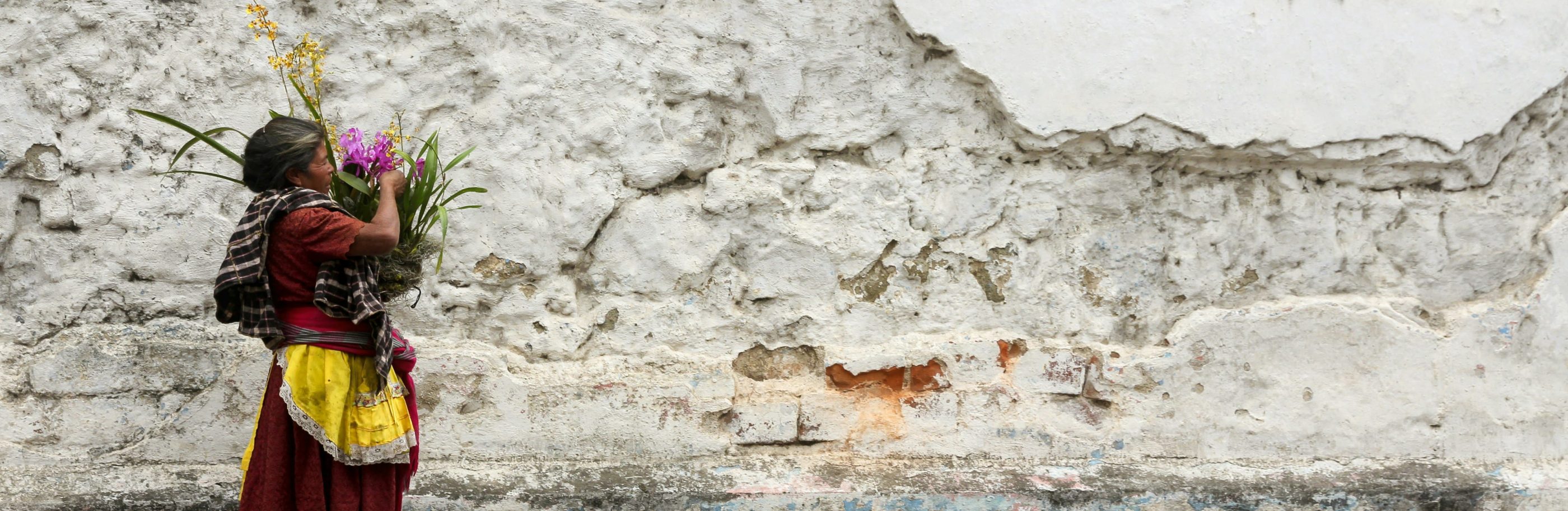 Guatemala_bandeau_scott-umstattd (1)