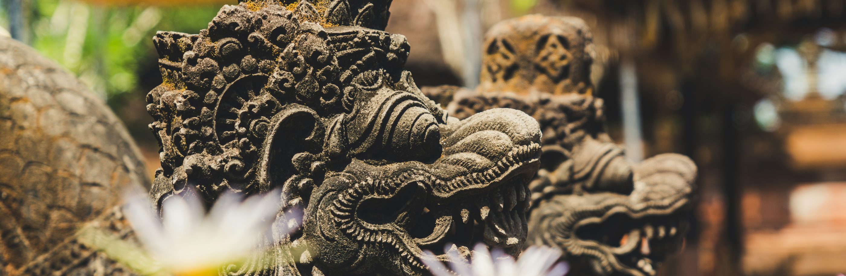 Indonésie_bandeau_paolo-nicolello