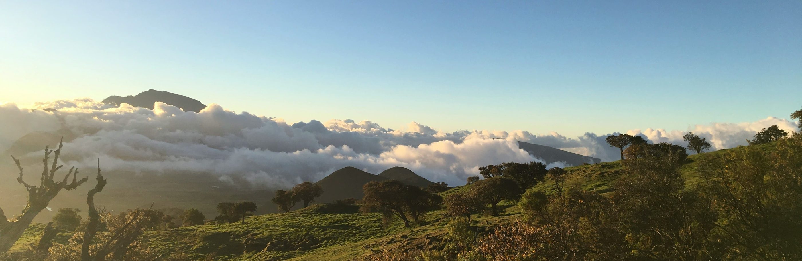 La-Réunion_bandeau_kevin-bunel (1)