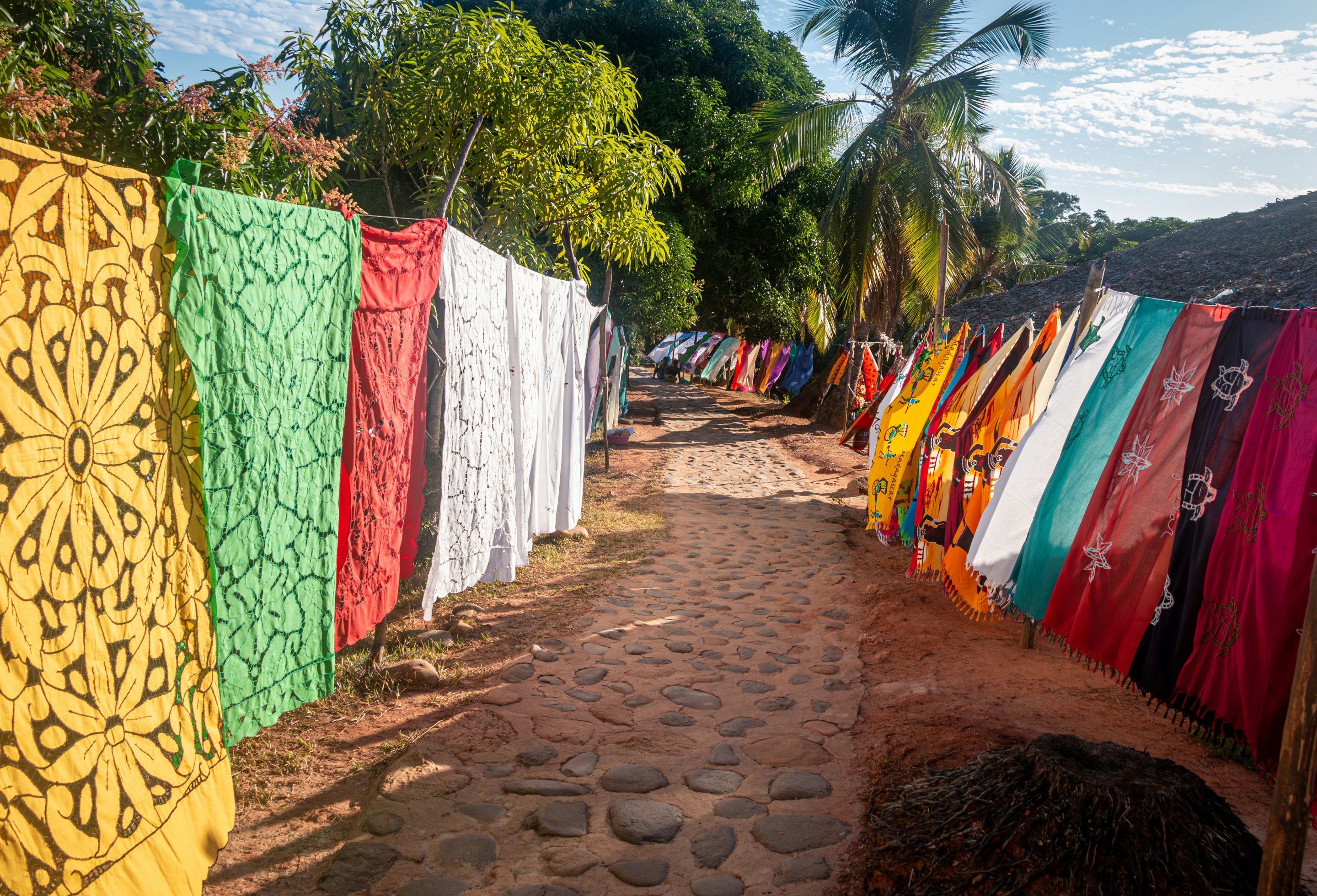 Madagascar_cover_david-bruyndonckx