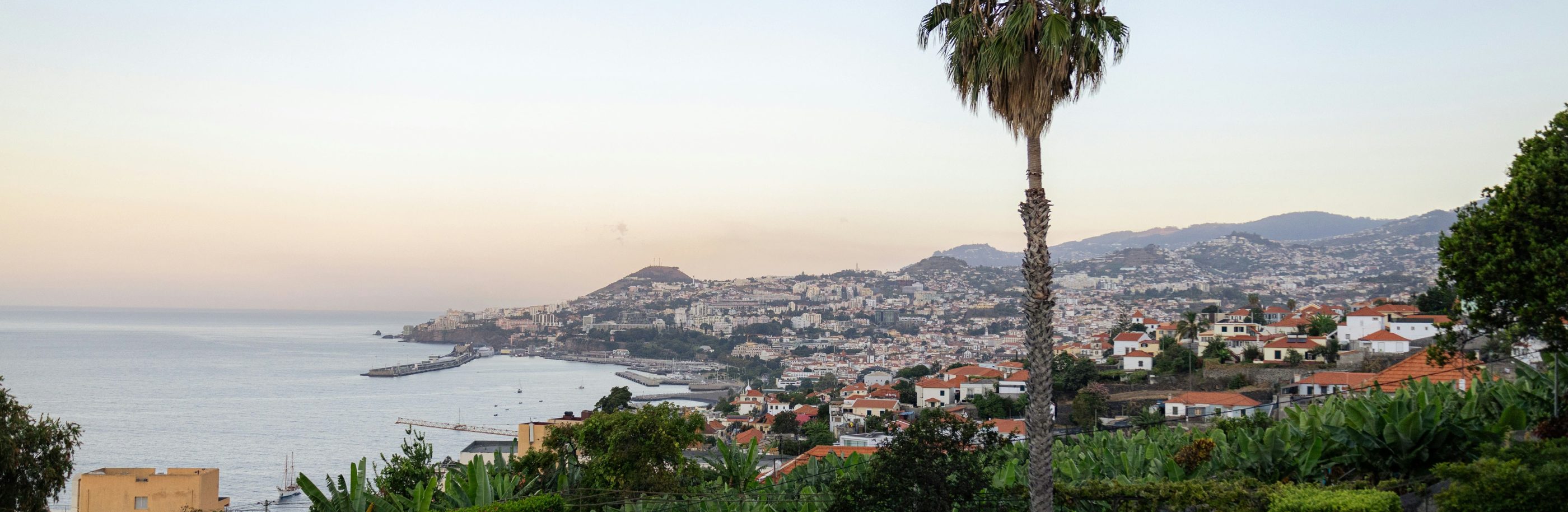 Madère_bandeau_mick-kirchman (1)