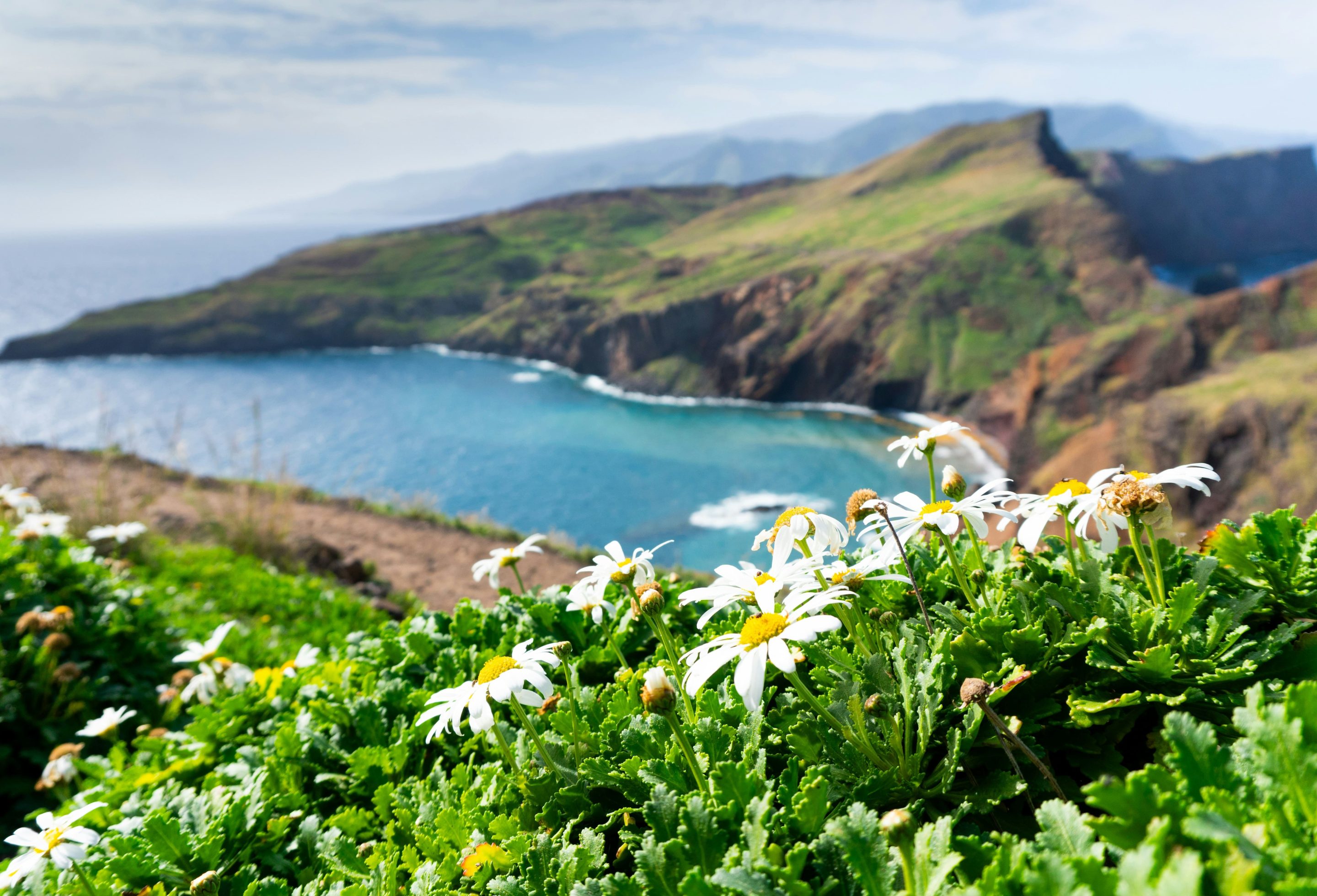 Madère_cover_ivanna-vinnicsuk (1)