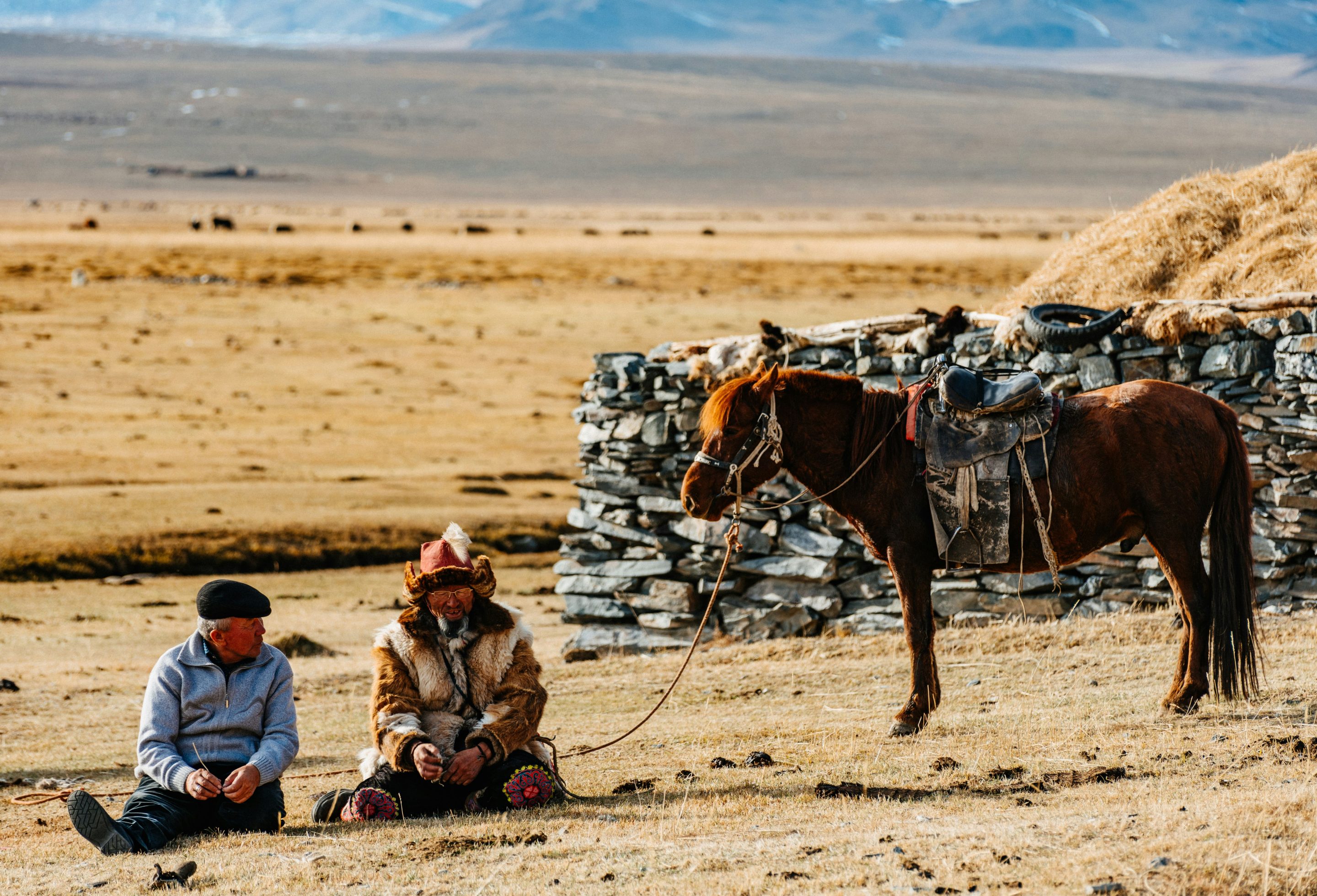 Mongolie_cover_fadhil-abhimantra (1)