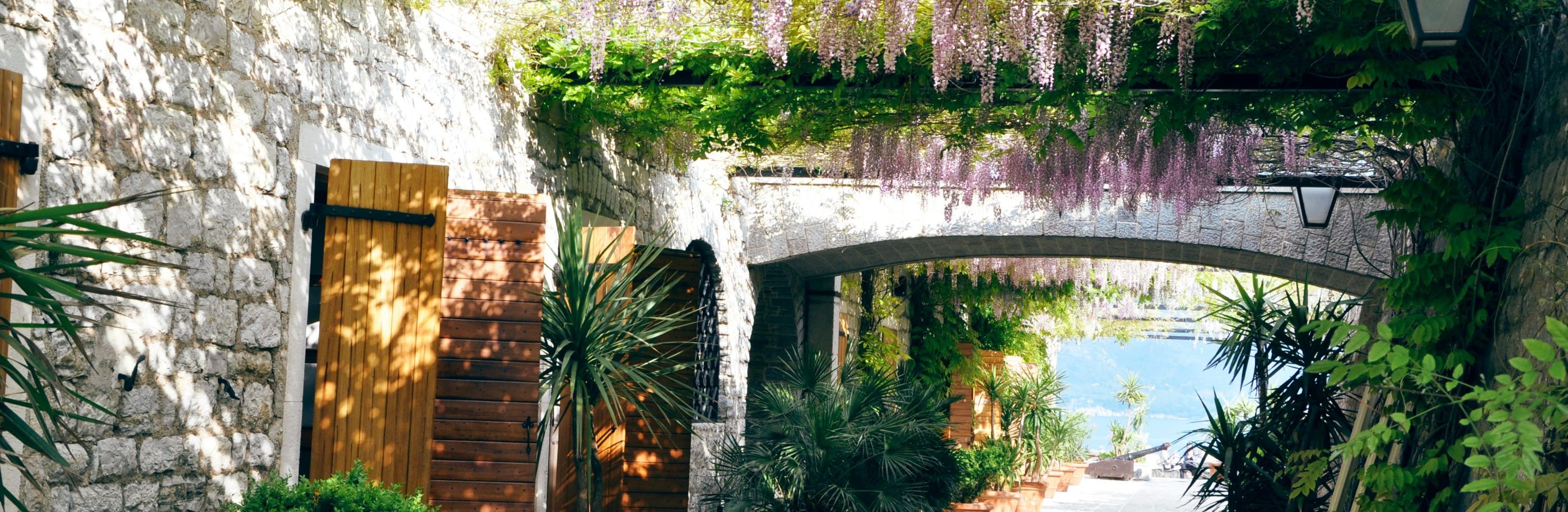 Monténégro_bandeau_starosta (1)