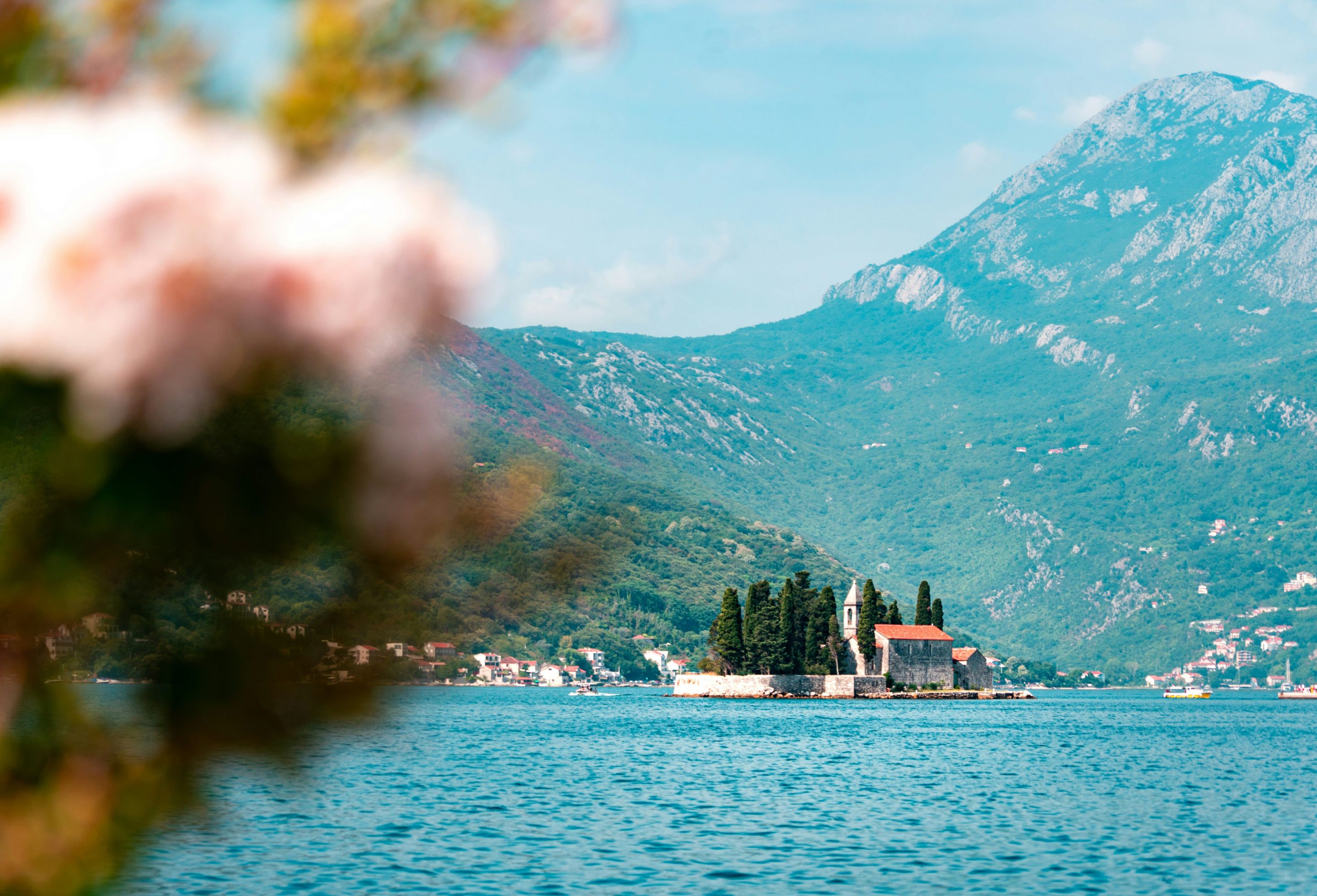 Monténégro_cover_dean-milenkovic (1)