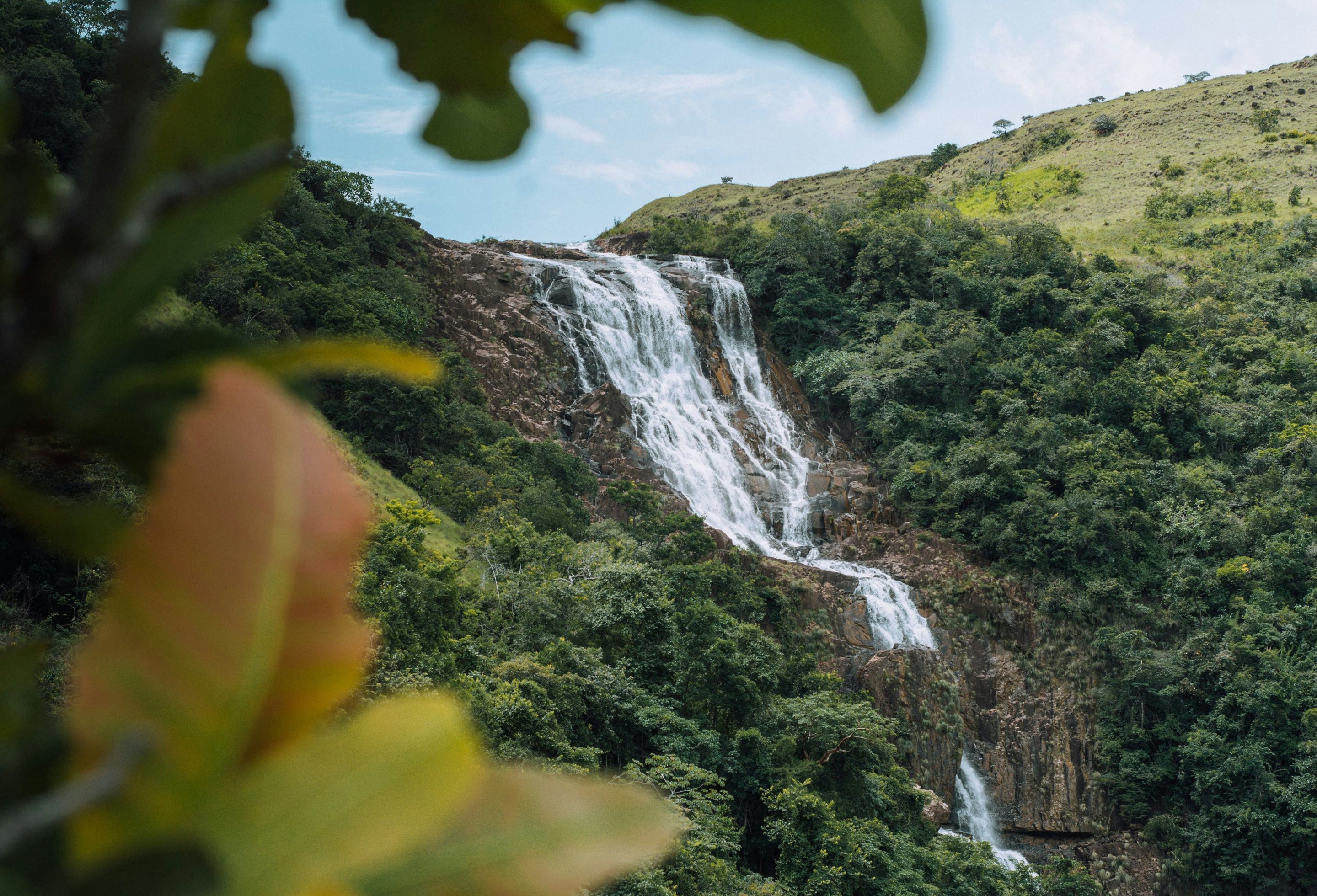 Panama_cover_cristhian-carreno (1)