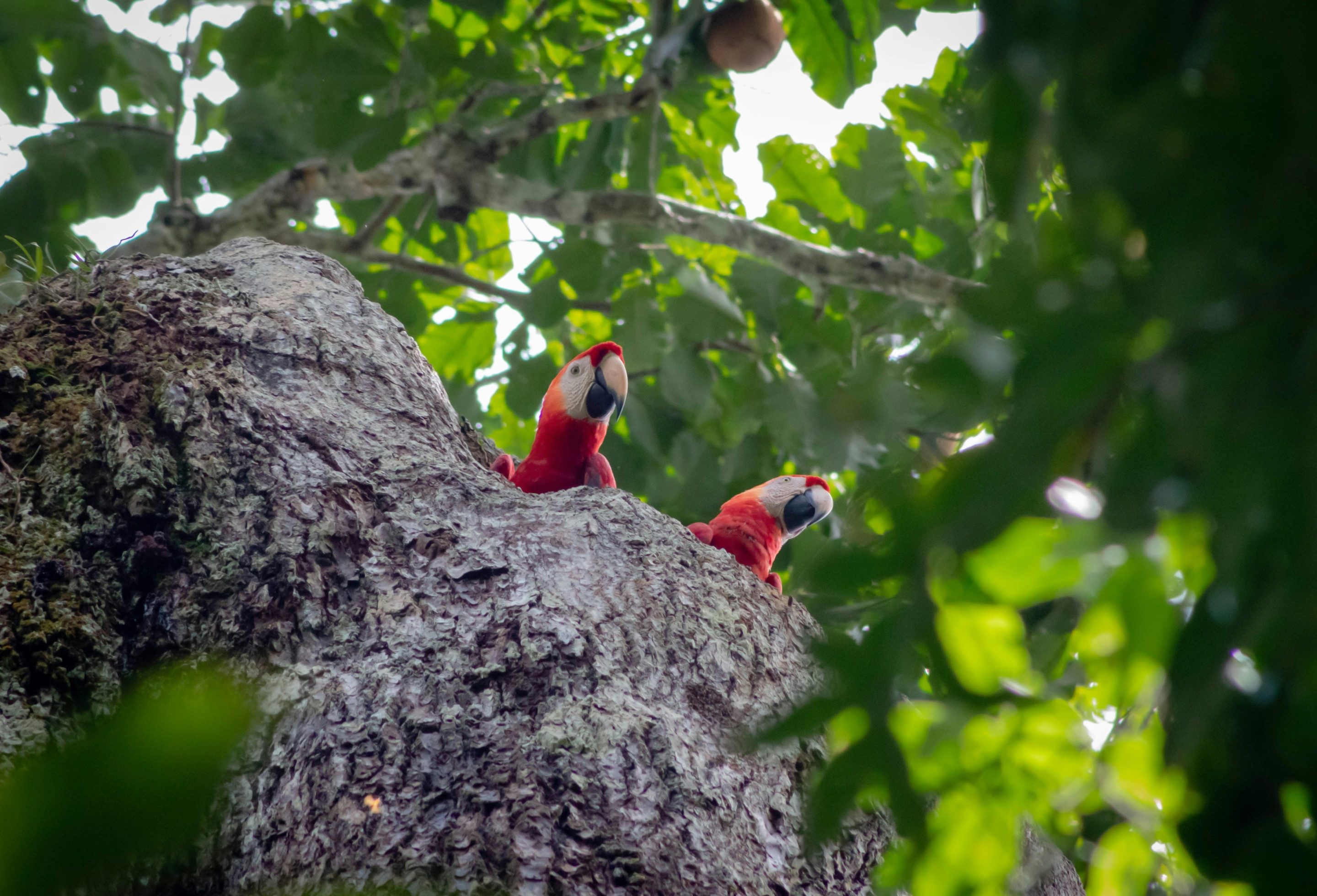 Pérou_cover_adrien-milcent (1)