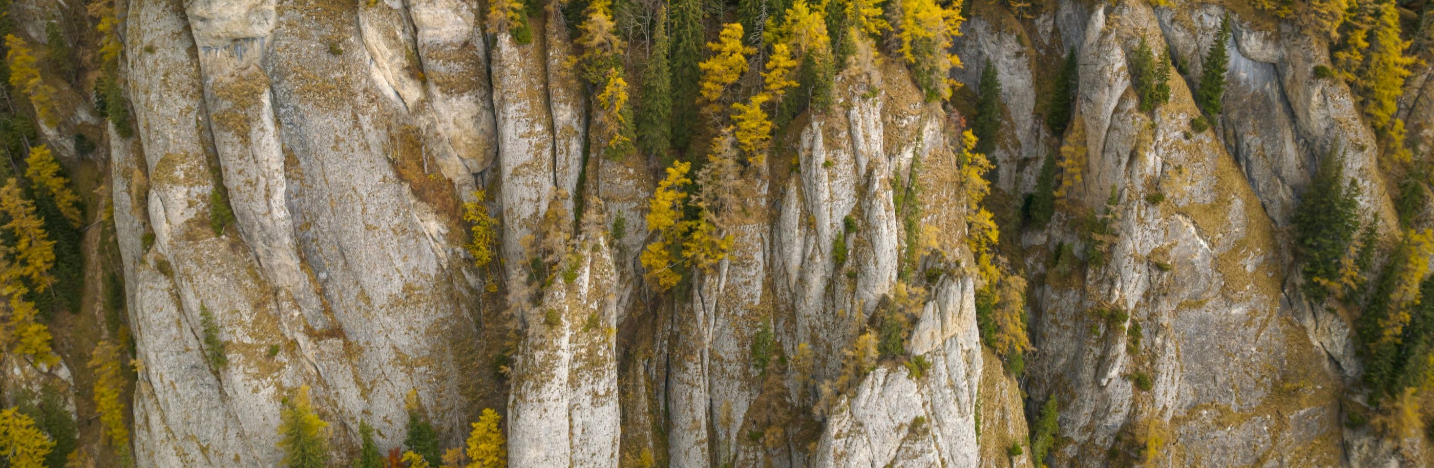 Roumanie_bandeau_daniel-mirlea (1)