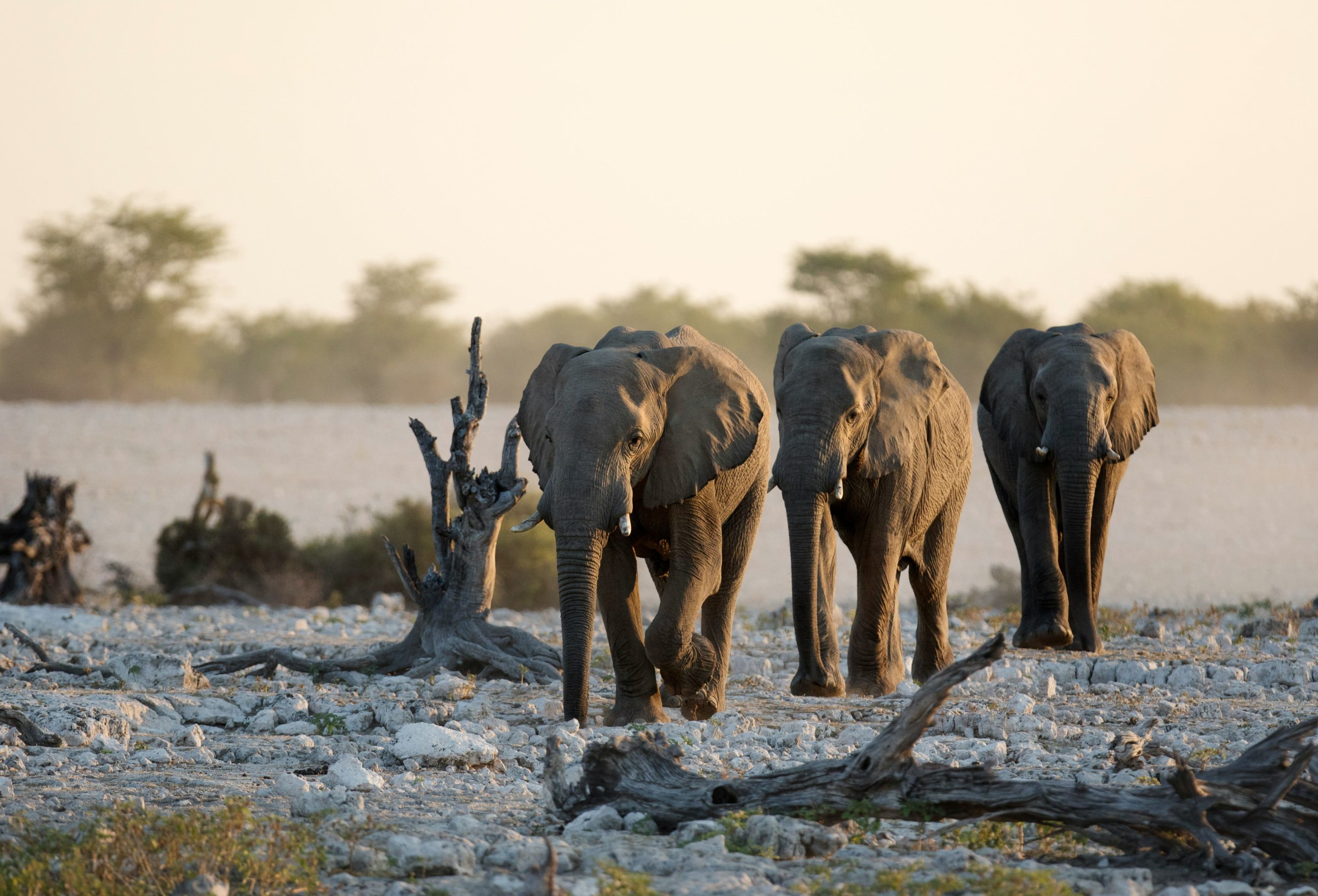 Tanzanie_cover_getty-images (2)