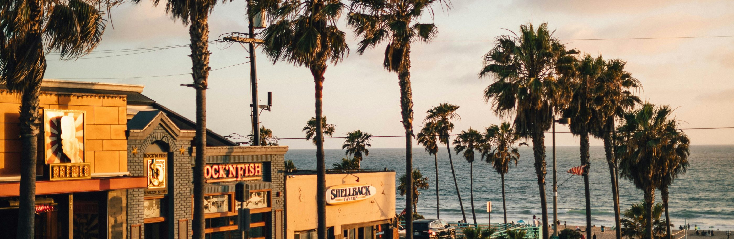 USA_bandeau_roberto-nickson (1)