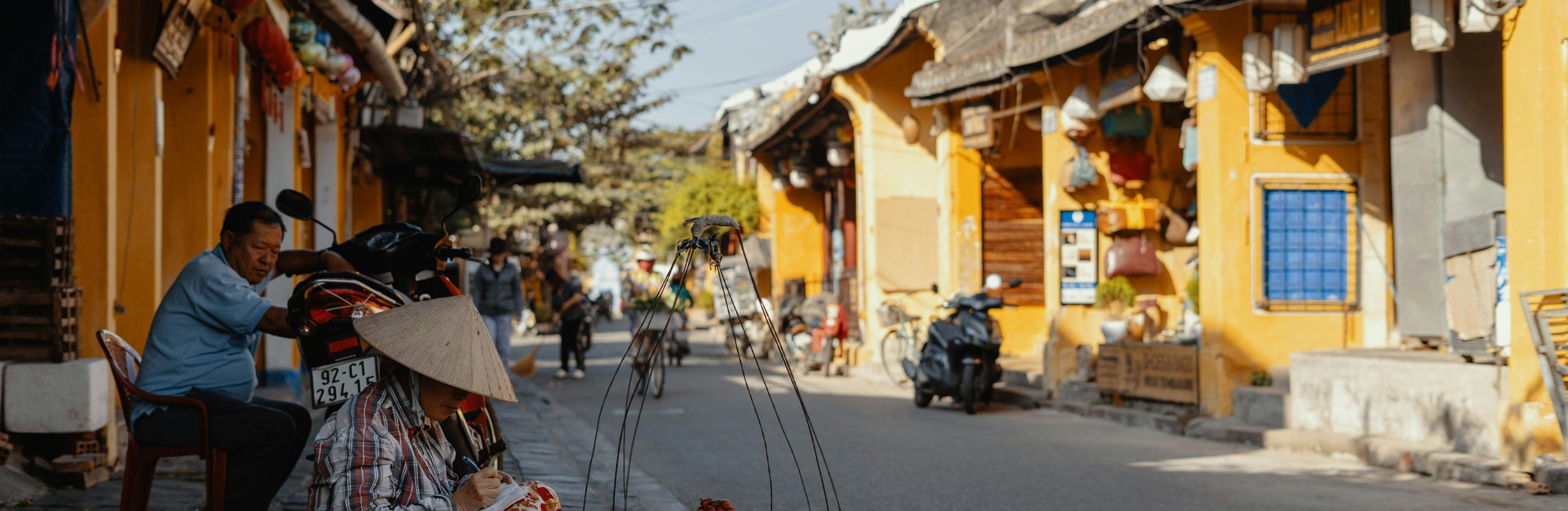 Vietnam_bandeau_chinh-le-duc