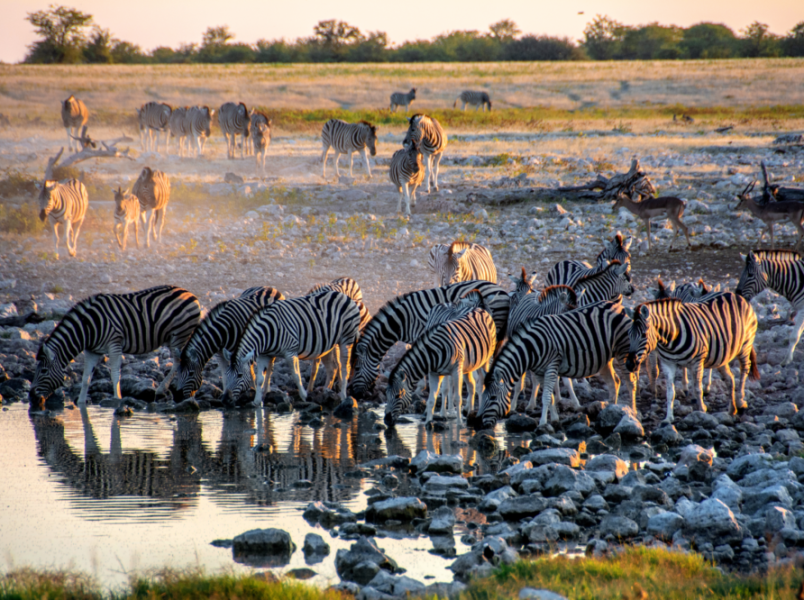 cover-par-nationaux-magazine-1000x666