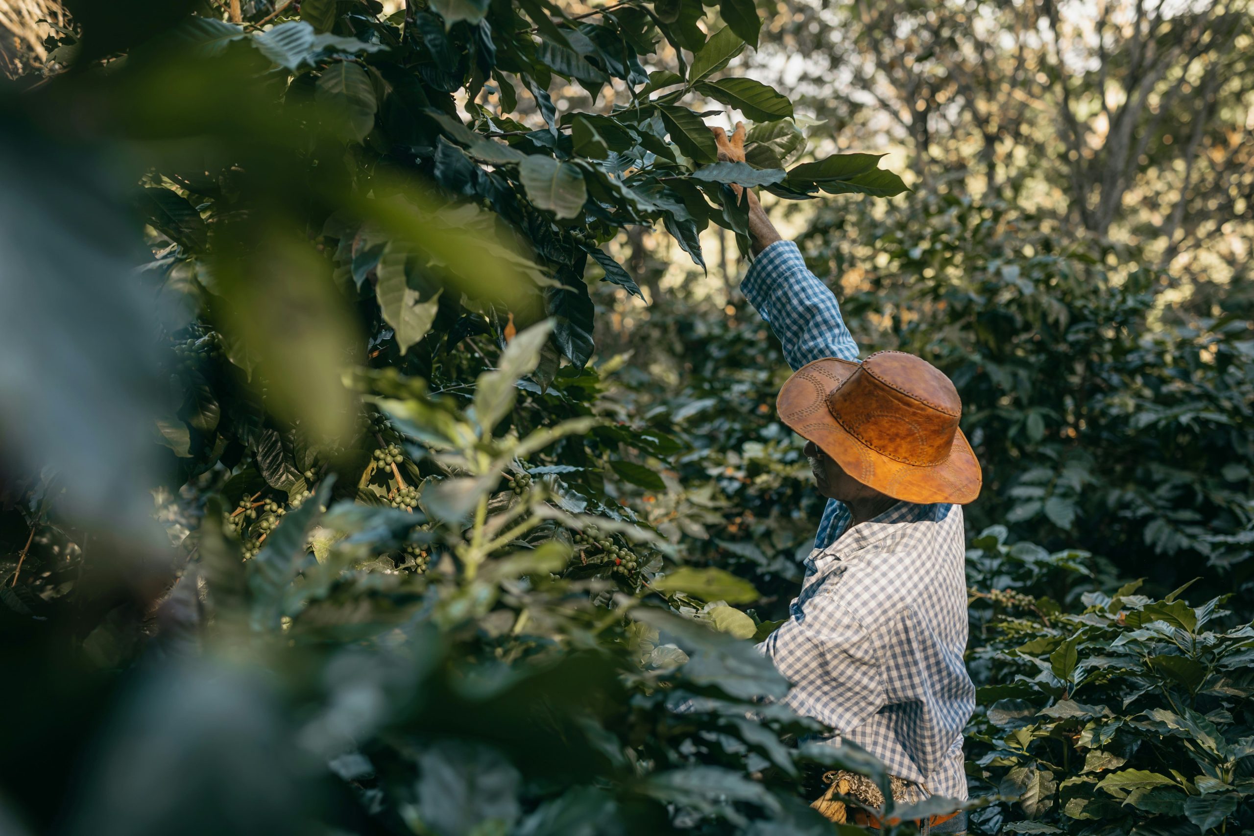 histoire_respect-des-populations_mariela-ferbo (1)