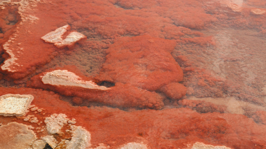 Sel sur l'île de Sal au Cap Vert