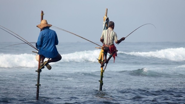 Pêche sur échasses Sri Lanka