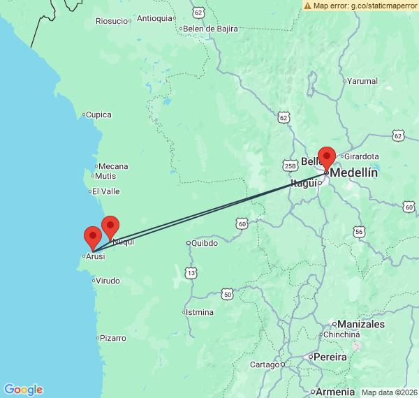 Escapade à la rencontre des baleines de la côte pacifique