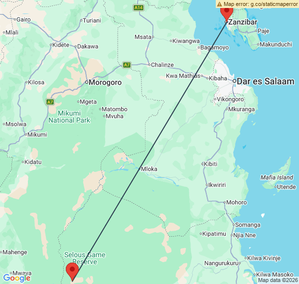 Zanzibar & Sélous : entre paradis tropical et safari authentique