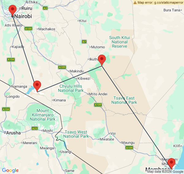 Safari et détente au pays du roi lion