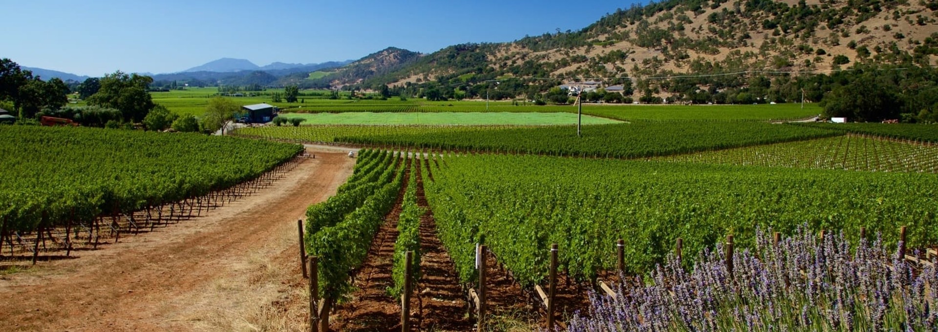 San Francisco, Napa Valley et la côte californienne en autotour