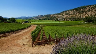 San Francisco, Napa Valley et la côte californienne en autotour