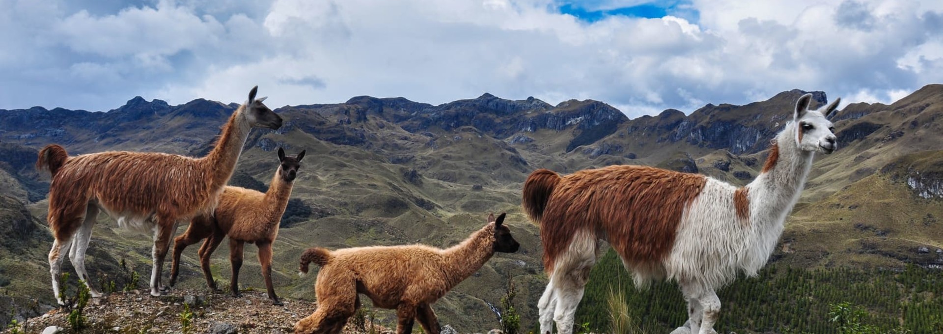 L’Equateur en famille