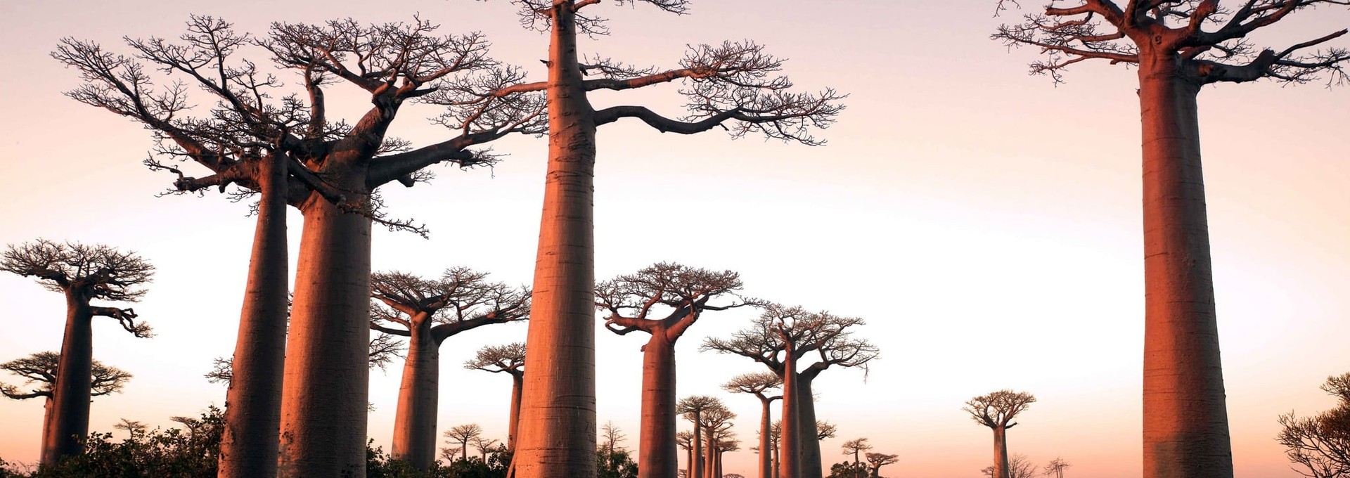 Circuit du Nord au Sud de Madagascar