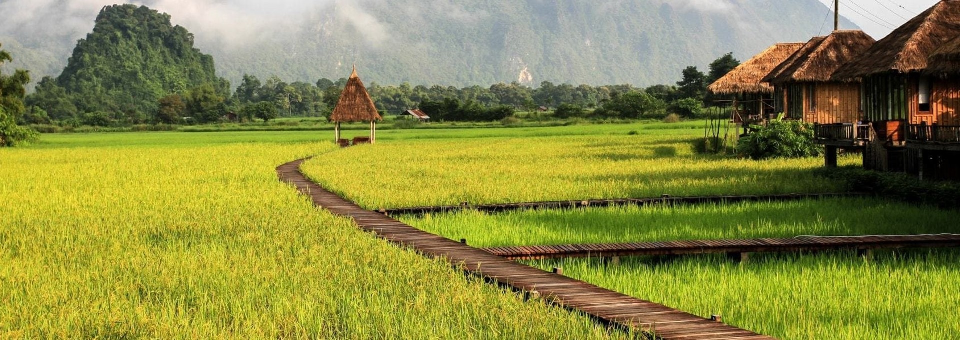 Concentré de nature du Nord de la Thaïlande au Laos