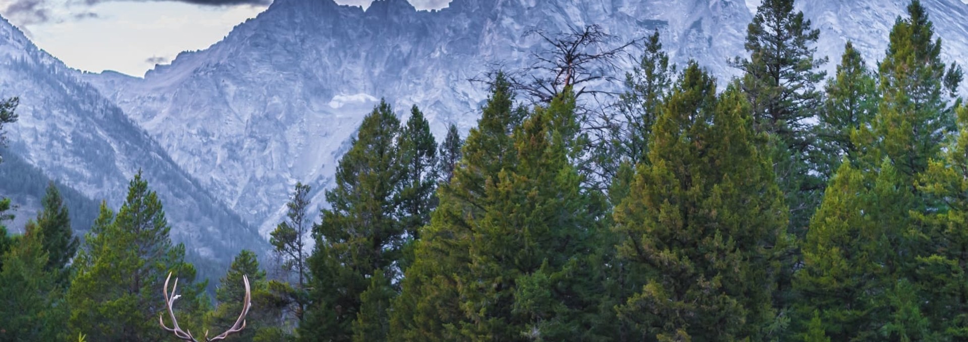 Montana et Wyoming en autotour