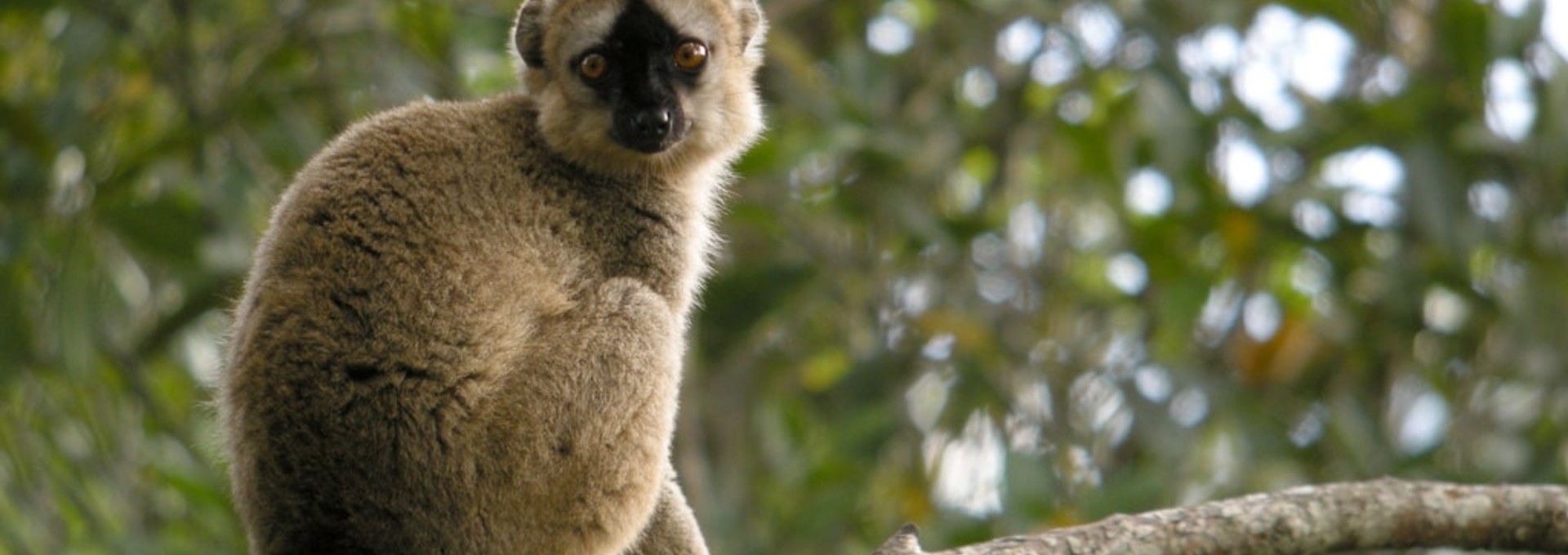 Circuit côtier dans l’Est de Madagascar