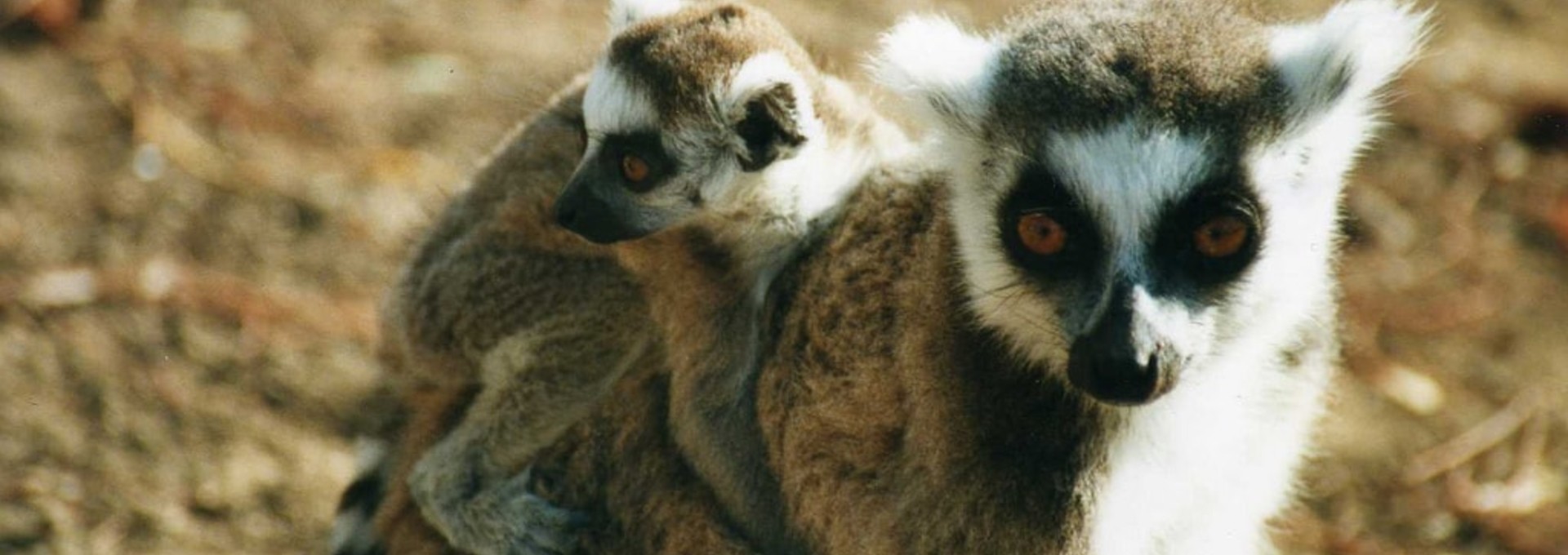 Circuit de découverte de la faune et de la flore